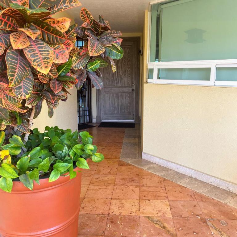 Exclusive location in Puerto Vallarta! - Apartamento de 2 dormitorios - 38