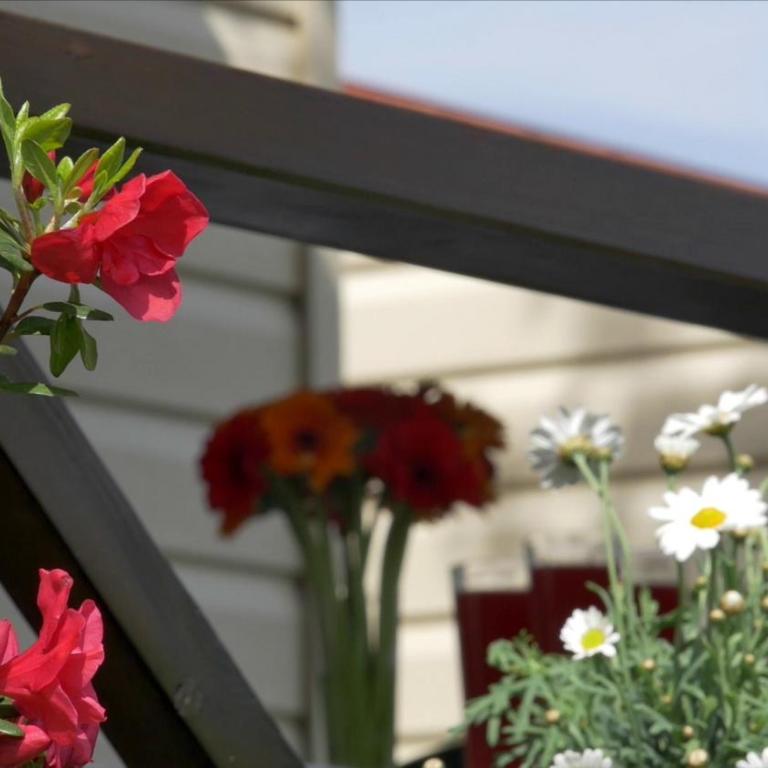 Camping Parisi - Casa Mobile con 2 Camere da Letto - 1