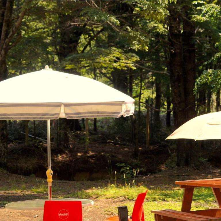 Cafeteria y cabañas Eluney - Koigue - One-Bedroom House - 18