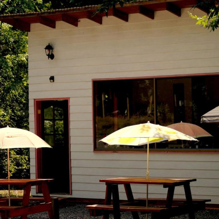 Cafeteria y cabañas Eluney - Koigue - One-Bedroom House - 17