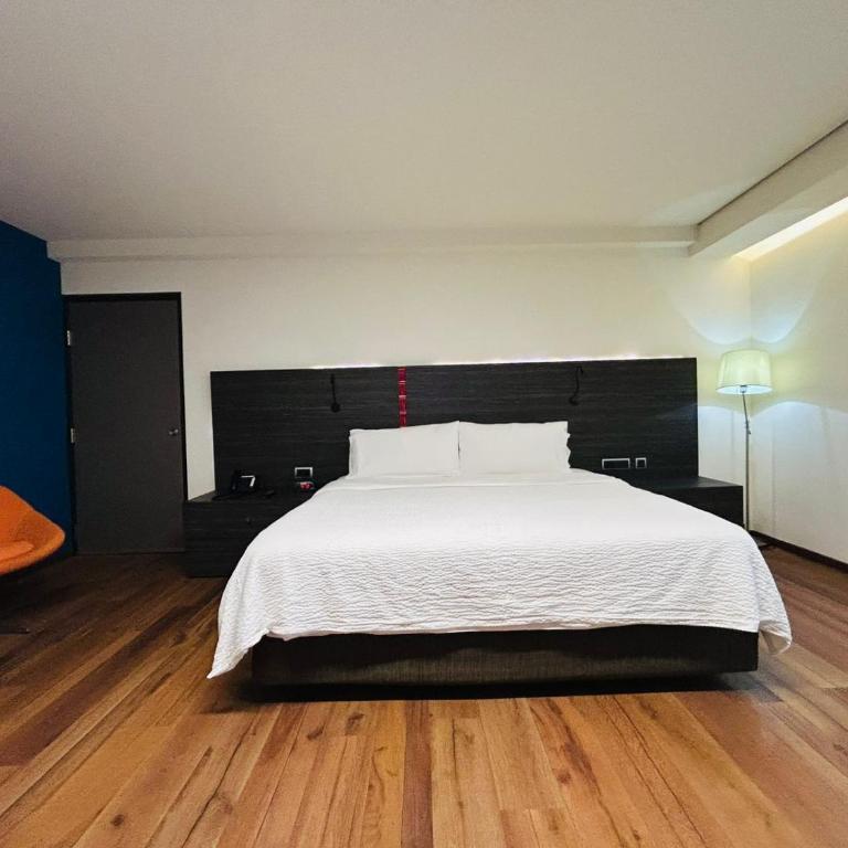 Holiday Inn Express Mexico Aeropuerto by IHG - Suite con cama extragrande - 3