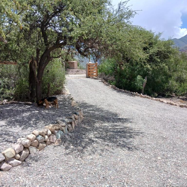 Punta Juella - One-Bedroom House - 7