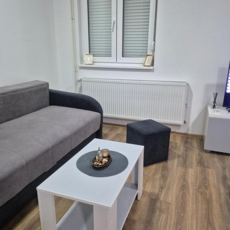 Apartman Jovanovic Royal Stay - Apartman sa 1 Spavaćom Sobom - 12