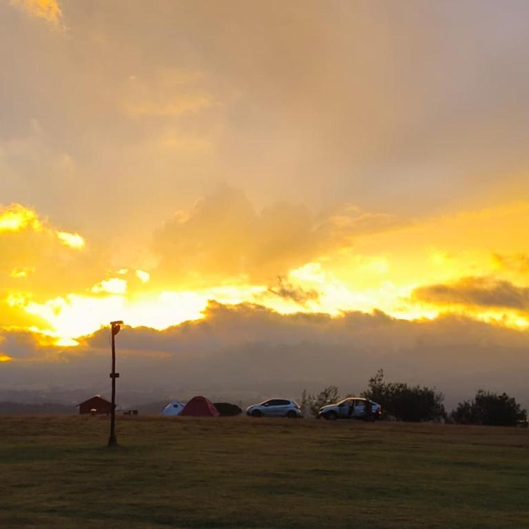 Camping San Francisco - Cabaña, Teepee & Zona de Camping - Parcela - 9
