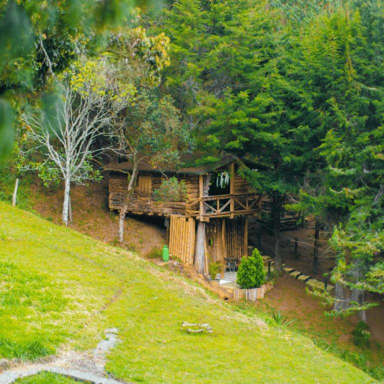 Refugio Natural - Guarne - Cabañas Ecológicas con Jacuzzi e hidromasaje - Superior Chalet - 12