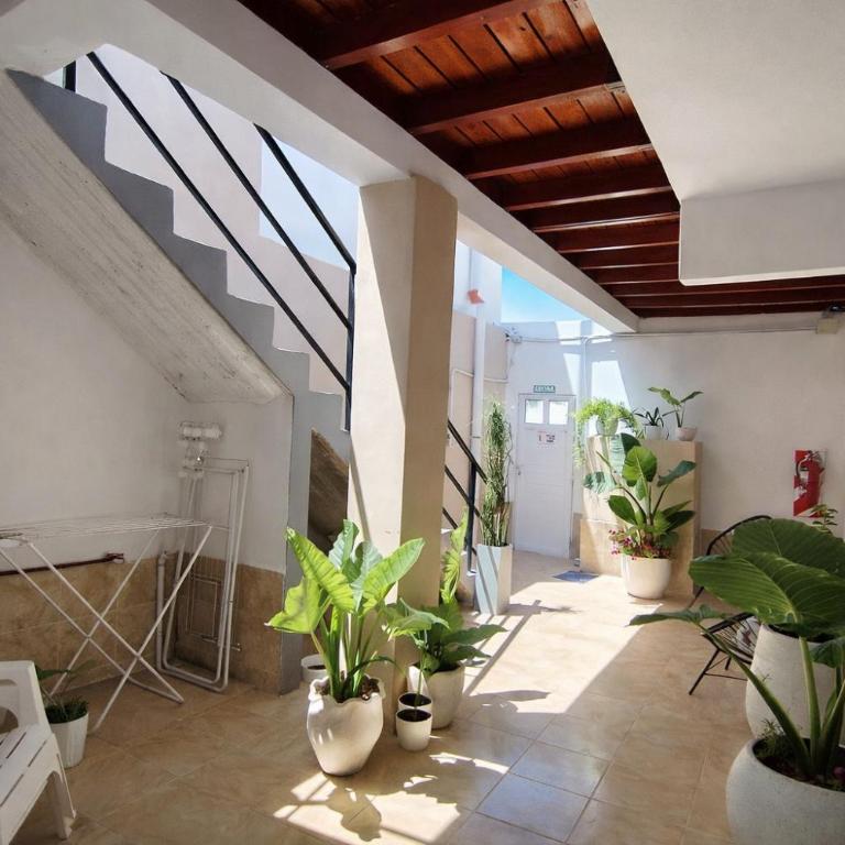 Gotas de Rocio - One-Bedroom Apartment - 11