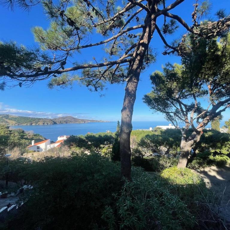 Maison paisible entre mer et montagne à Banyuls-sur-Mer - FR-1-309-515 - Two-Bedroom House - 19