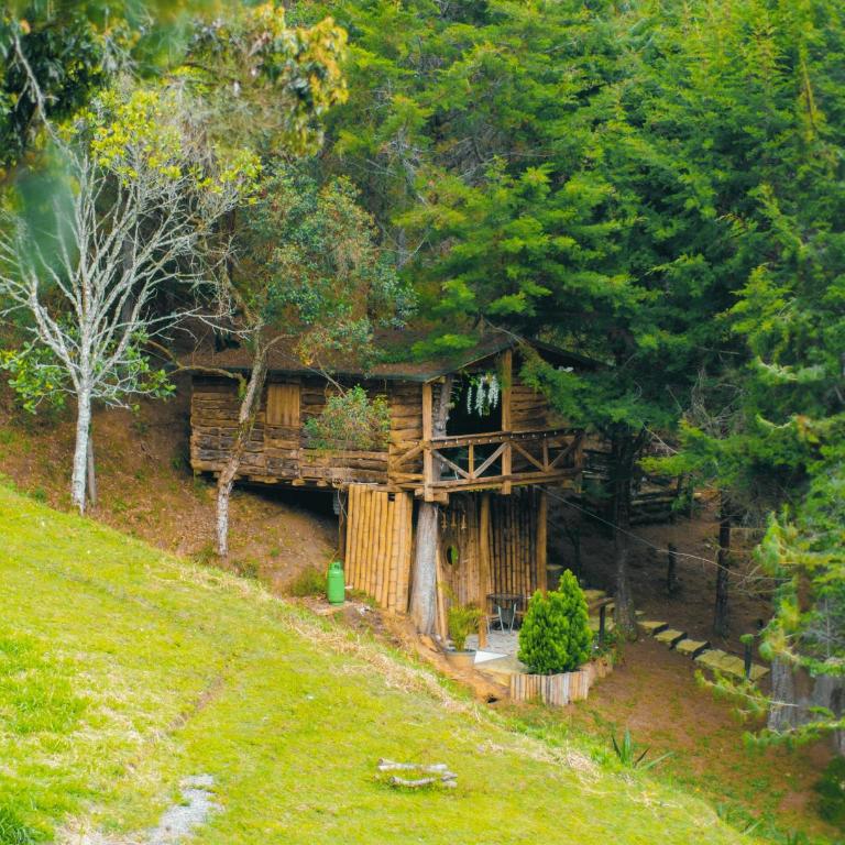 Refugio Natural - Guarne - Cabañas Ecológicas con Jacuzzi e hidromasaje - Superior Chalet - 7