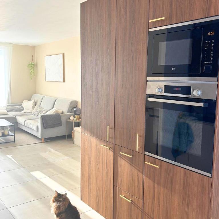 T3 rénové proche port et plage - Appartement 2 Chambres - 9