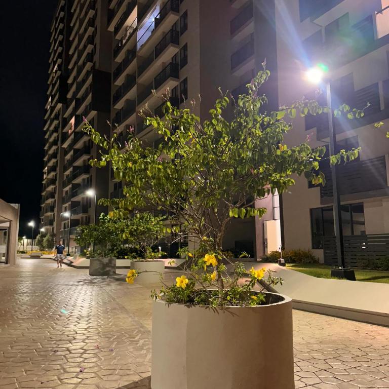 refugio moderno - Apartamento de 2 dormitorios - 23