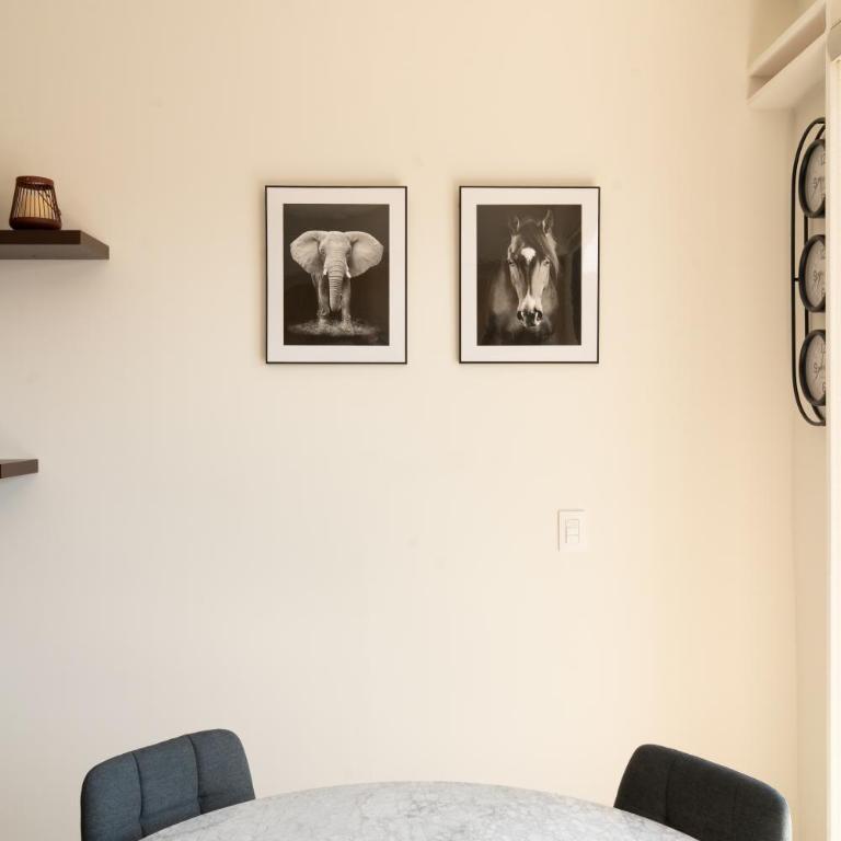 Myla Chapultepec - Apartamento Superior de 1 dormitorio - 12