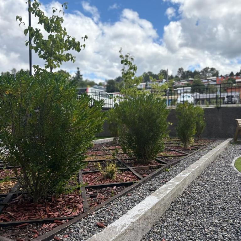 Departamento céntrico Villarrica - Apartamento de 3 dormitorios - 13