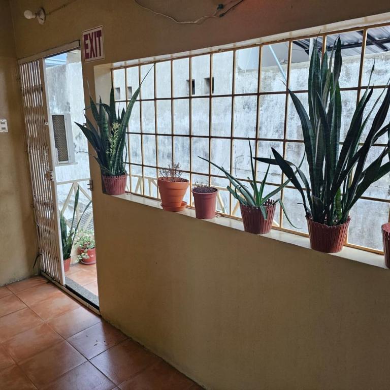 Suite amueblada kennedy norte - One-Bedroom Apartment - 7