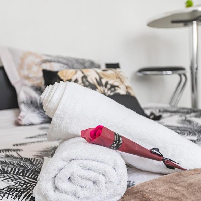 cozy apartment in city , free wifi ,coffe shops downstairs - Appartamento con 1 Camera da Letto - 10