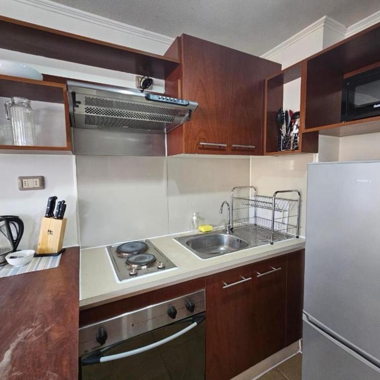Apart palacio moneda - One-Bedroom Apartment - 3