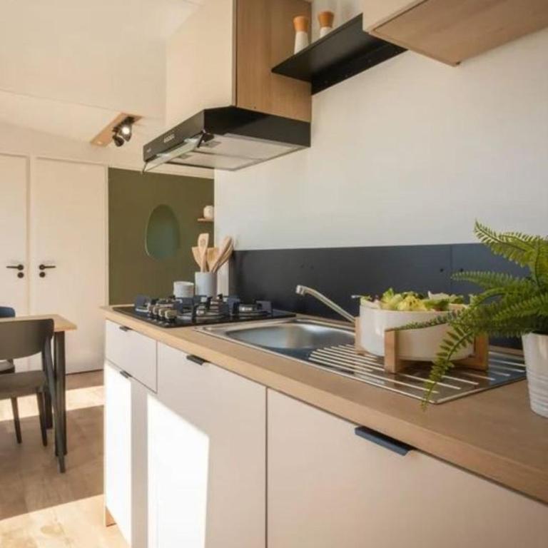 Mobil Home 5 pers avec Terrasse à Agde - API-1-52-1655 - Casa Móvil - 11