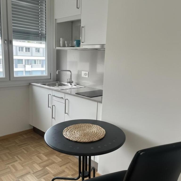 Appartement Centre de Genève - Appartement 1 Chambre - 5