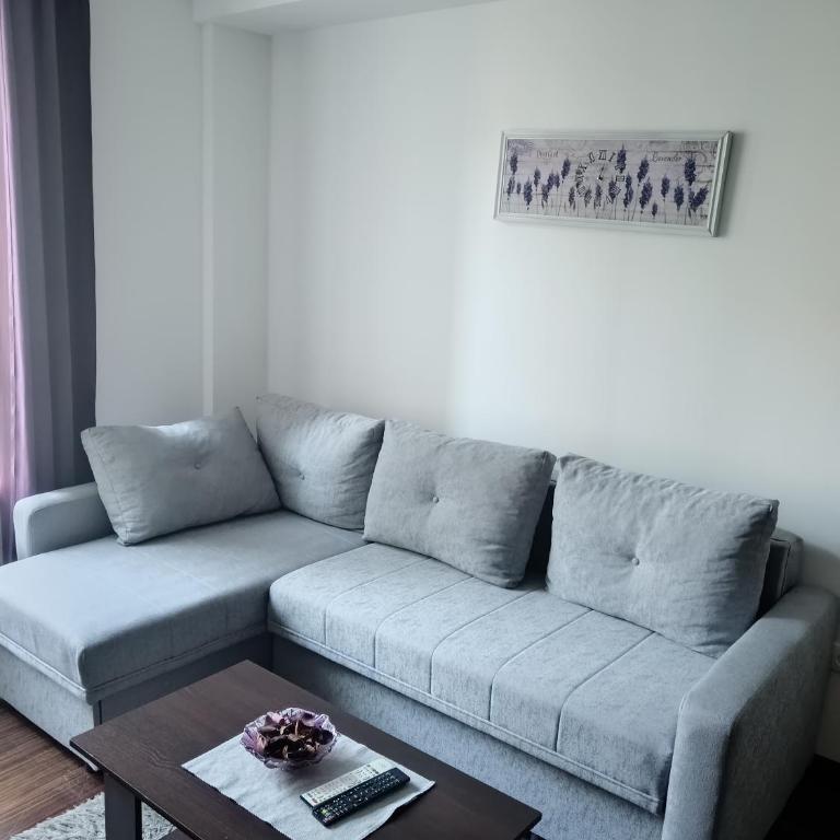Wolf Apartments Kopaonik - Deluxe One-Bedroom Apartment - 5
