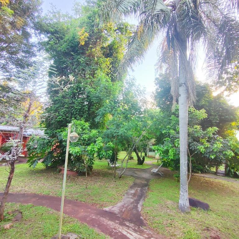 Complejo de Apartamentos parque naturaleza - One-Bedroom Apartment - 2