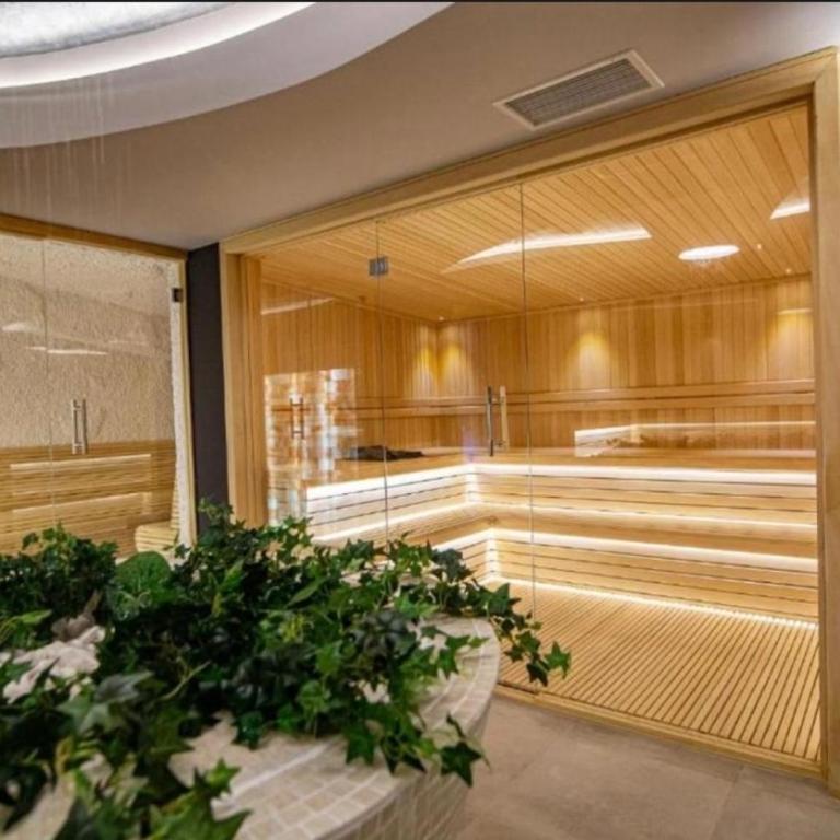 Emerald Mamba - Titova Vila - Apartman sa 1 Spavaćom Sobom - 21