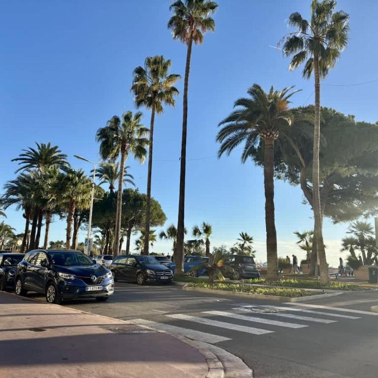 Luxury Beachfront Croisette large Terrace Parking - Appartement - 46