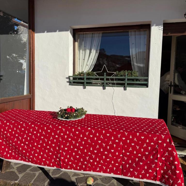 288 - Casa Scoiattolo - Appartamento - 11