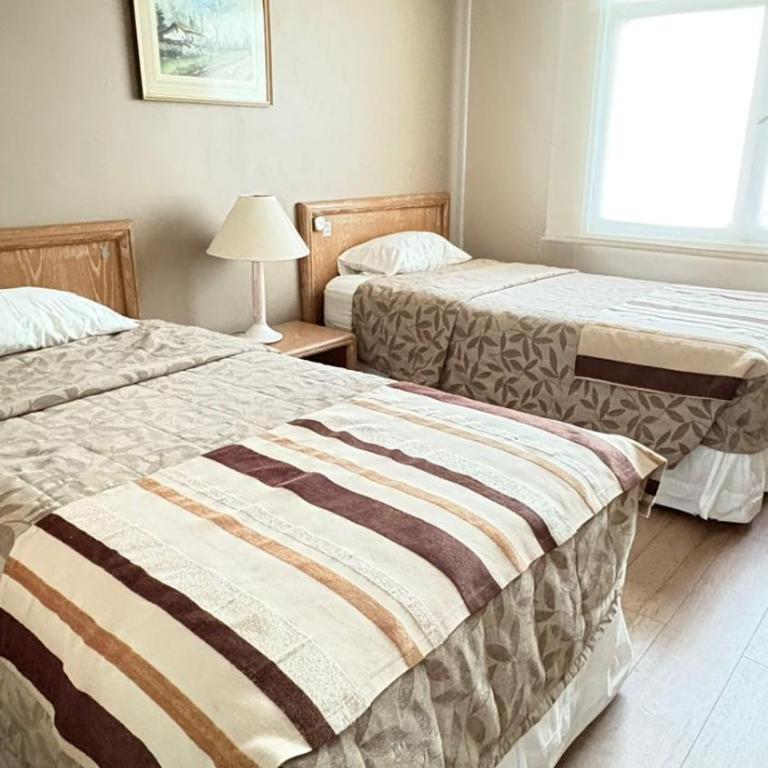 Hotel Vallenar - Twin Room - 4