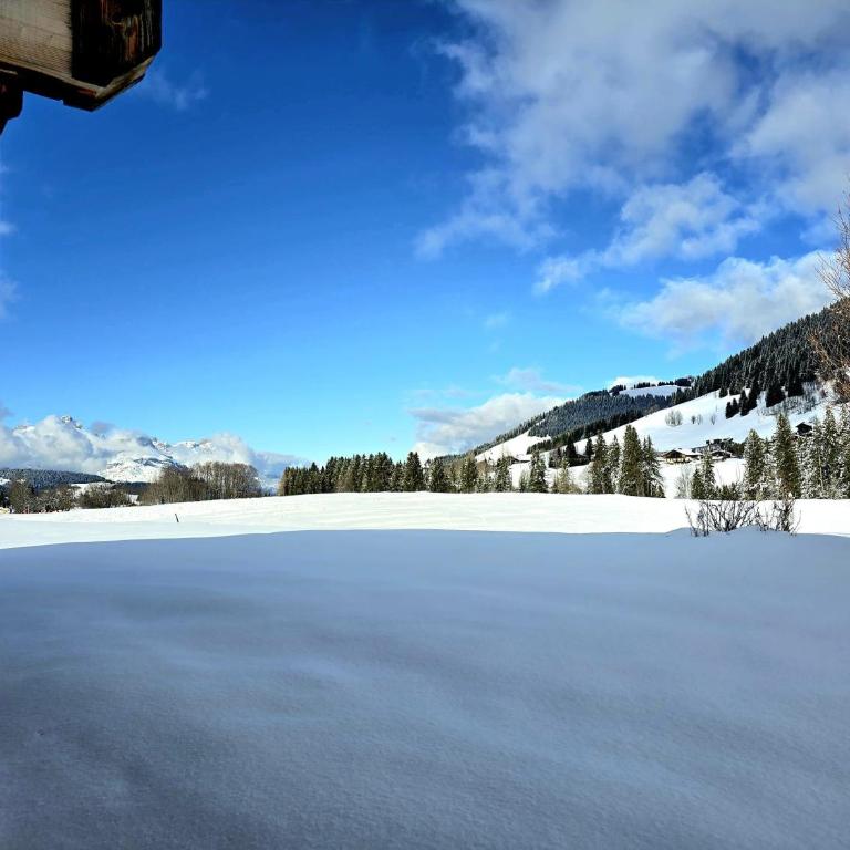 Chalet du Lay Côte 2000 ski in ski out - Chalet - 15
