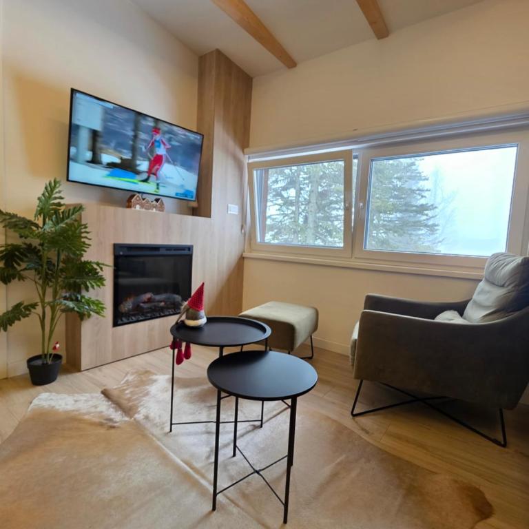 SNJEŽNA ČAROLIJA lux - Apartman sa 1 Spavaćom Sobom - 1
