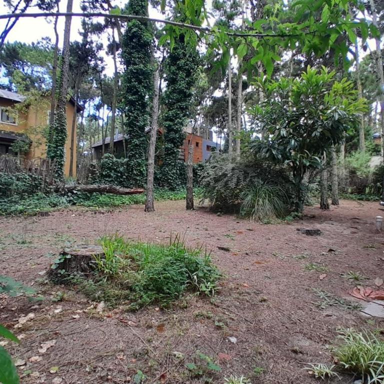 Casa en Alquiler en Mar de las Pampas - Casa de 2 dormitorios - 6