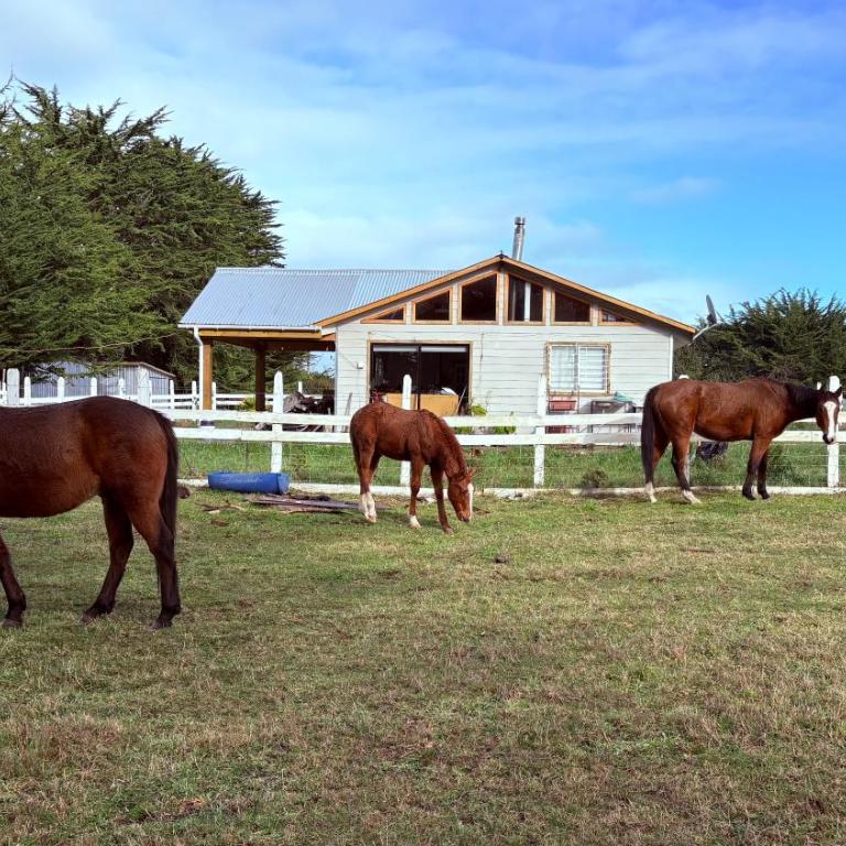 Cabaña Campo Puerto Saavedra - One-Bedroom House - 12