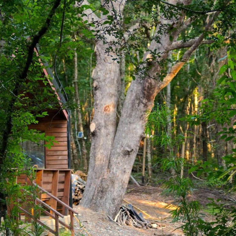 Cafeteria y cabañas Eluney - Koigue - One-Bedroom House - 35