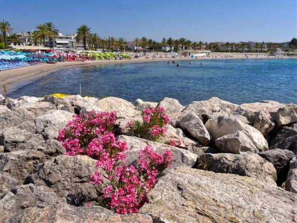 Sunny apartment sea and pool view - Appartement 1 Chambre - 21