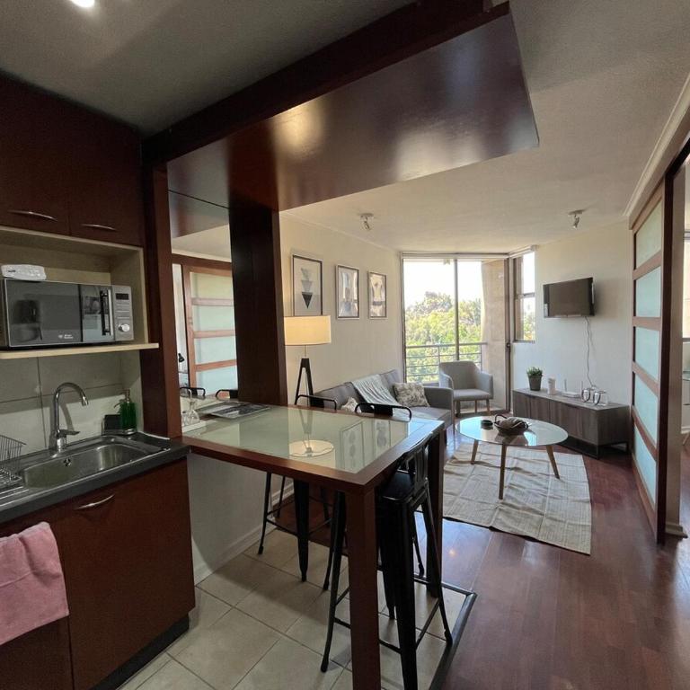 View of Santa Lucia, pool and Lastarria Connection - One-Bedroom Apartment - 10