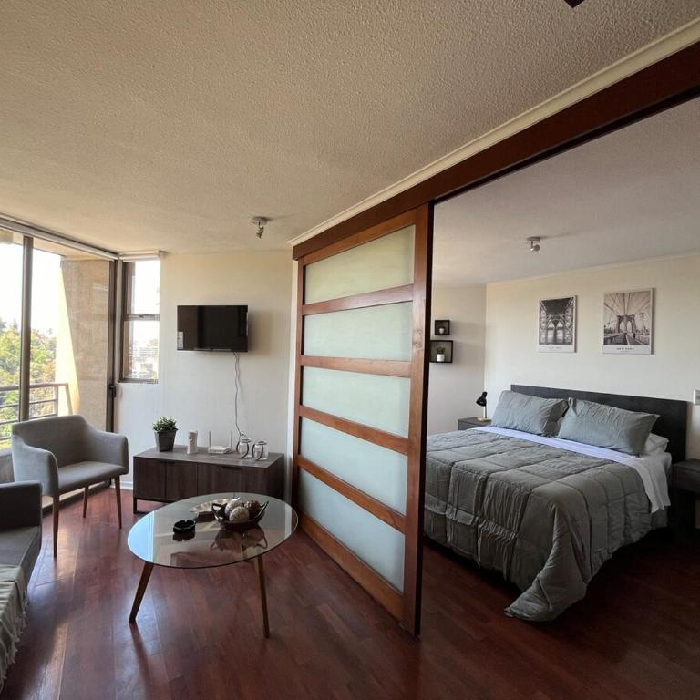 View of Santa Lucia, pool and Lastarria Connection - One-Bedroom Apartment - 13