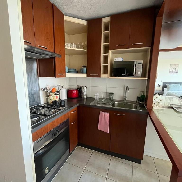 View of Santa Lucia, pool and Lastarria Connection - One-Bedroom Apartment - 20