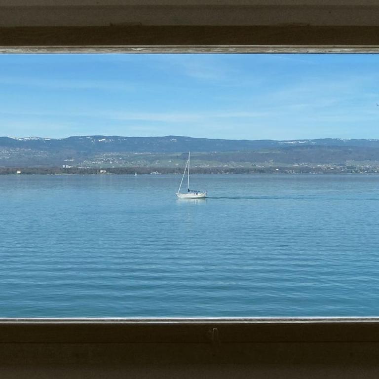 Very nice apartment on Lake Geneva - Appartement 1 Chambre - 18