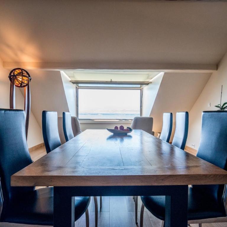 Very nice apartment on Lake Geneva - Appartement 1 Chambre - 32