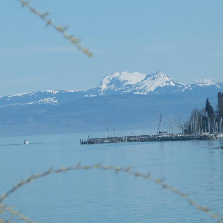 Very nice apartment on Lake Geneva - Appartement 1 Chambre - 43