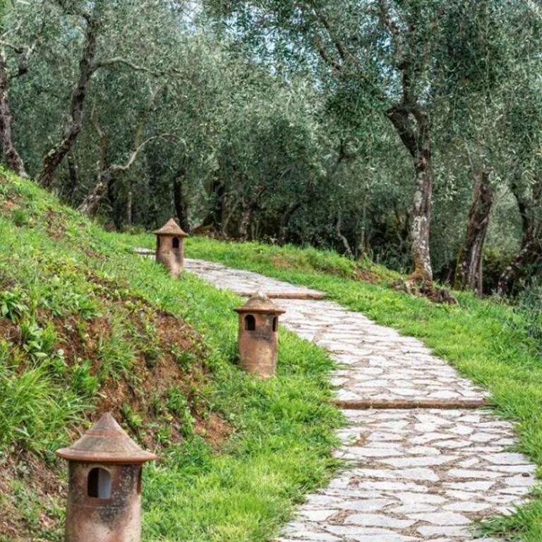 Tuscan Hideaway - Casa con 1 Camera da Letto - 30
