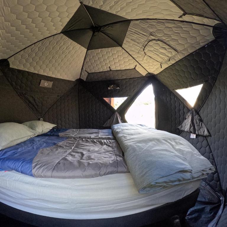 Yellow Plum Camp Pehoé - Tent - 5