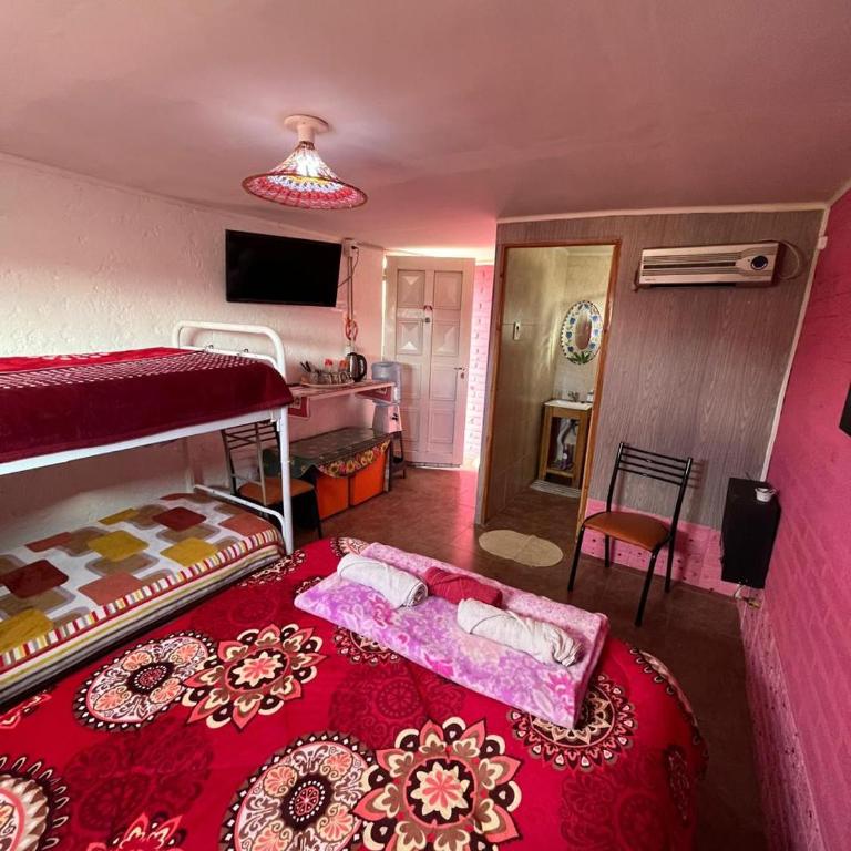 Dormis C la Familia - Apartamento de 2 dormitorios - 5