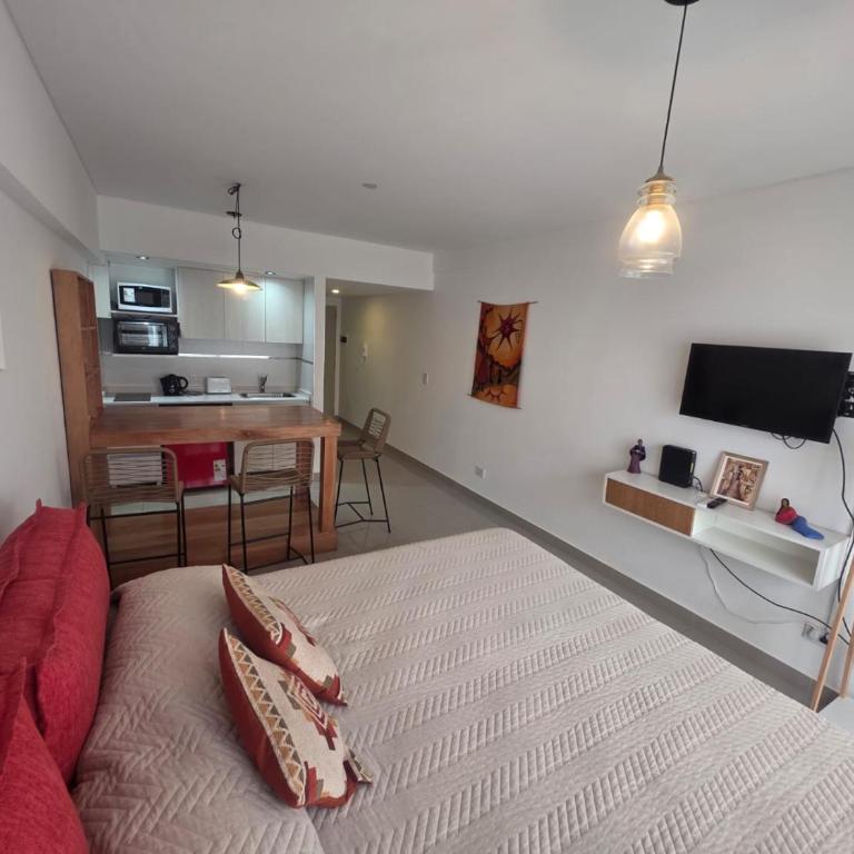 Studio en Paseo la Cisterna 712 - Apartamento de 1 dormitorio - 1