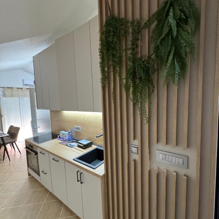 Apartman Sunce - Apartman sa 1 Spavaćom Sobom - 9