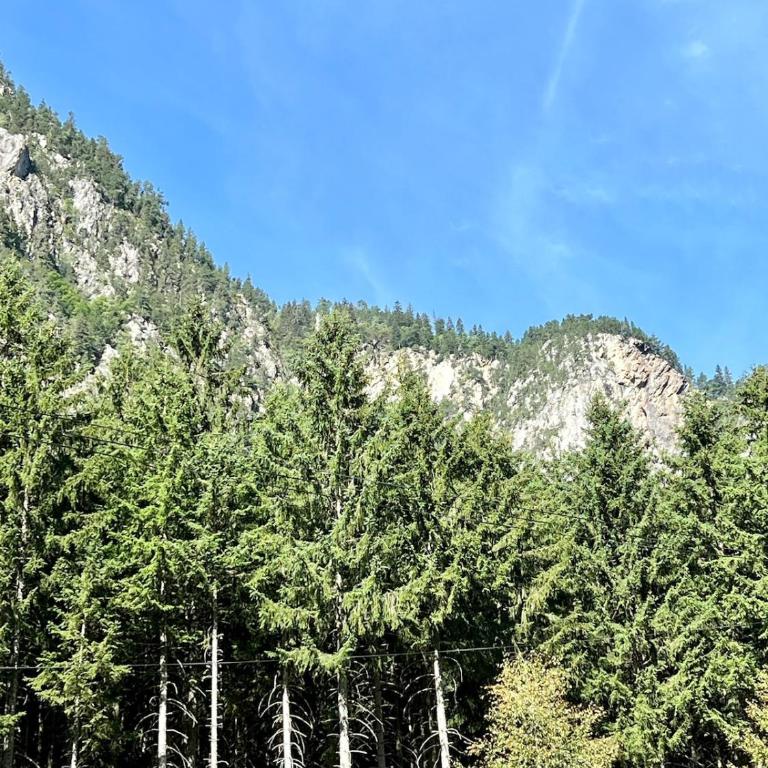 Maisonnette au cœur de la Vanoise - Appartement 2 Chambres - 14