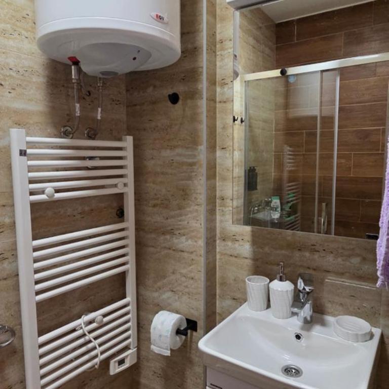 Vilotic studio - Apartman sa 1 Spavaćom Sobom - 3