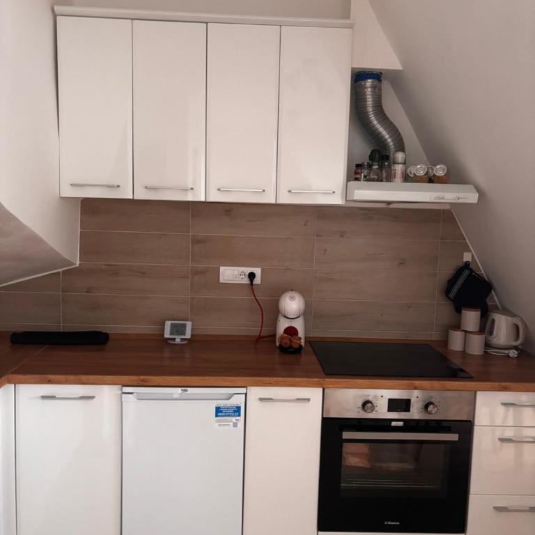 Divčibarska čarolija - Apartman sa 1 Spavaćom Sobom - 11