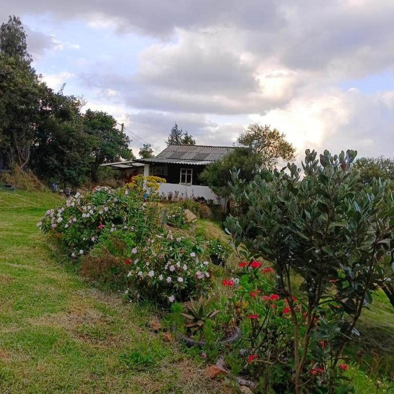 Kuyay Alojamiento Rural - Chalet de 1 dormitorio - 11