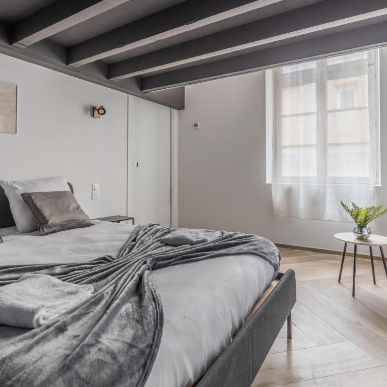 L'envol de Lysa - Metz Hypercentre - 4P - Two-Bedroom Apartment - 7