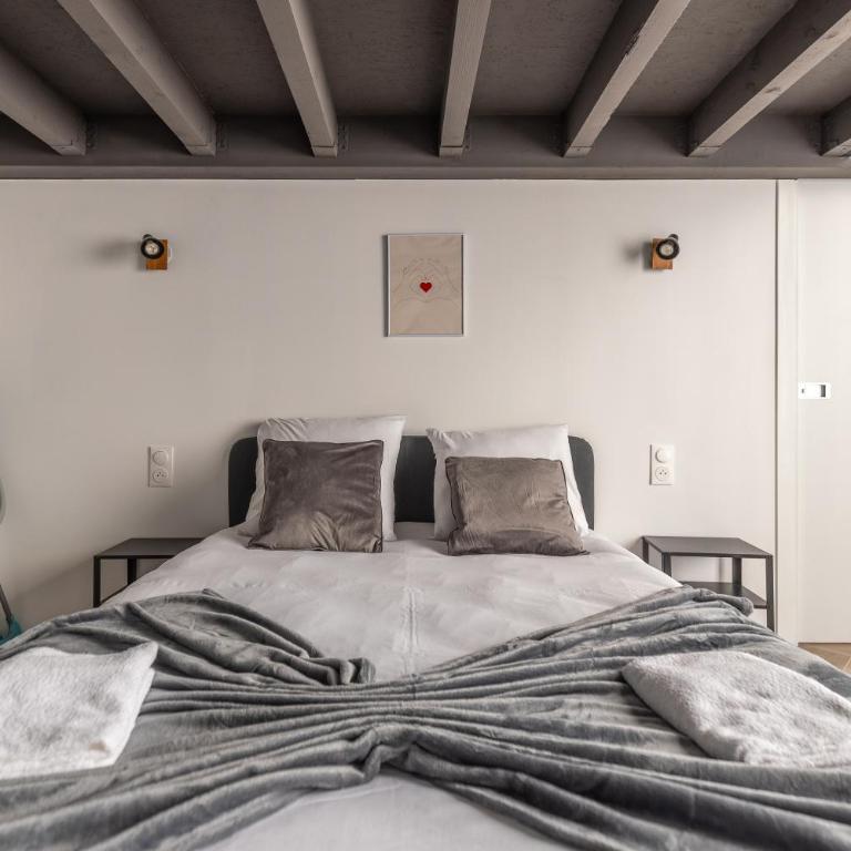 L'envol de Lysa - Metz Hypercentre - 4P - Two-Bedroom Apartment - 10